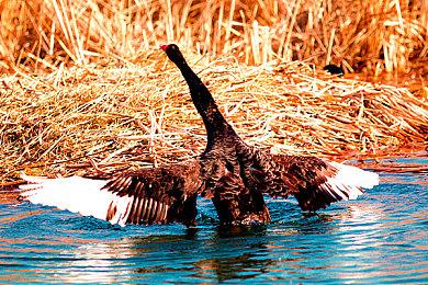 新赛季改动引发差评 《流放之路2》开发团队承认错误